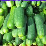 Garden Cucumbers -Regular (1kg) thumbnail 0