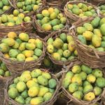 Sheri Mango-(5 pieces) thumbnail 0