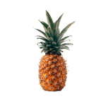 Pineapples  ( Smooth Cayenne ) thumbnail 0