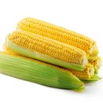 Fresh Sweet Corn thumbnail 0