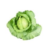 Green Cabbage thumbnail 0