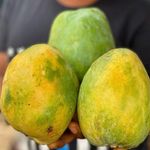 Brokin (Benue) Mangoes  thumbnail 0